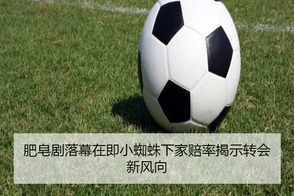 肥皂剧落幕在即小蜘蛛下家赔率揭示转会新风向
